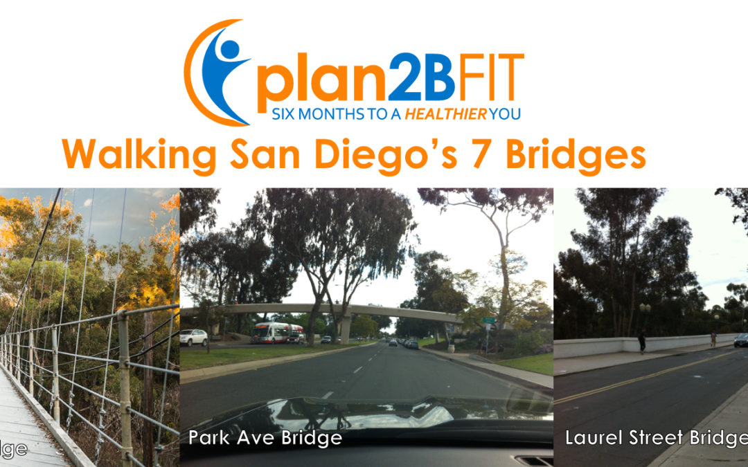 7 Bridges of San Diego Walk